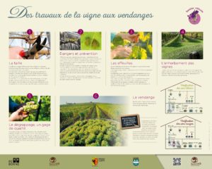 Panneau_Vigne_DEF (1)
